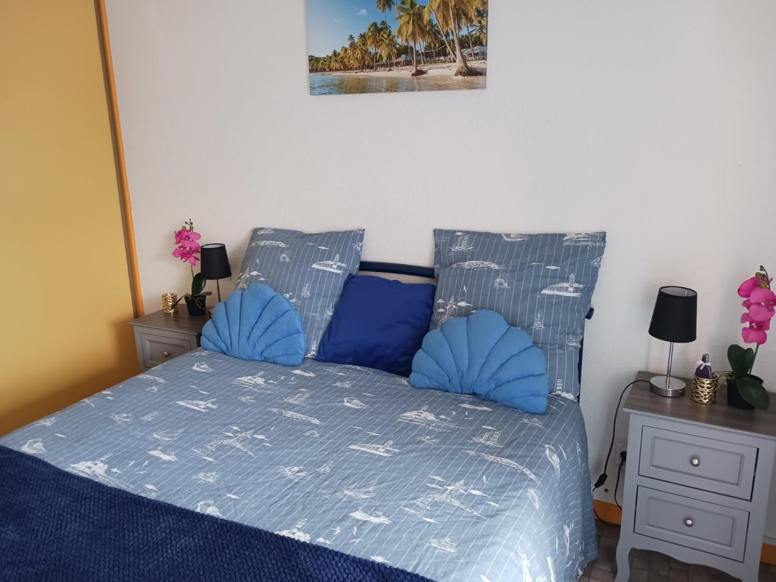 Appartement T2 Vue Mer Et Port,2 Balcons, Parking Prive 卡内 外观 照片